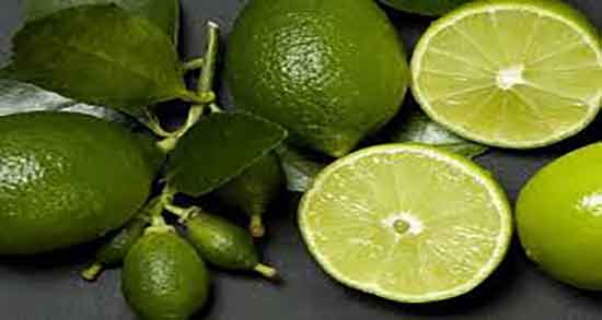 طریقه کاشتن هسته لیمو ترش ؛ طریقه کاشت هسته لیمو ترش چیست