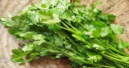 عرق گشنیز برای معده ؛ فواید و مضرات خوردن عرق گشنیز برای معده