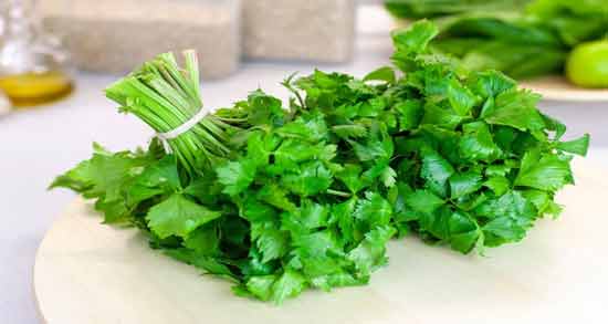 عرق گشنیز برای چی خوبه و آشنایی با خواص و کاربردهای عرق گشنیز عرق گشنیز برای چی خوبه ؛ آشنایی با خواص و کاربردهای عرق گشنیز