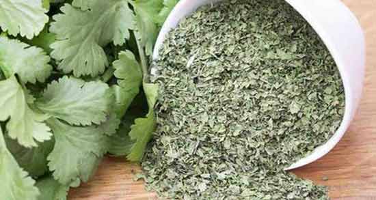 عرق گشنیز و یبوست ؛ خاصیت مصرف عرق گشنیز برای درمان یبوست