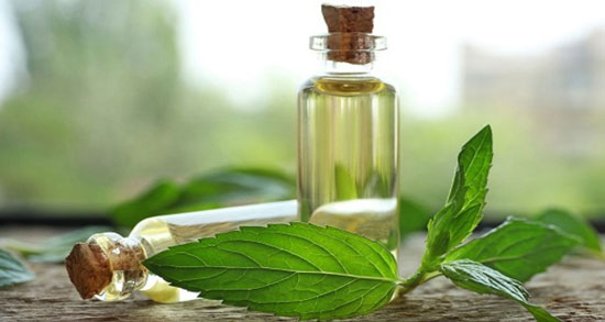 عصاره نعناع برای چی خوبه ؛ در چه مواردی استفاده از عصاره نعناع مفید است