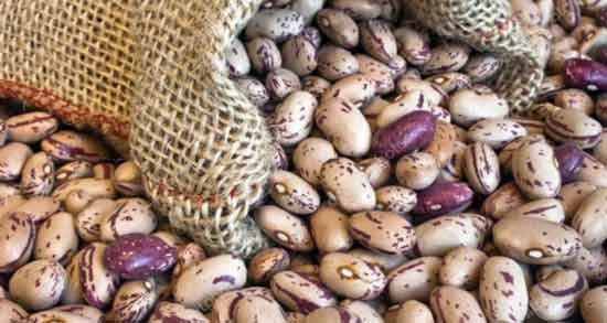 علت سیاه شدن لوبیا چیتی ؛ چه عواملی باعث سیاه شدن لوبیا چیتی می شود؟