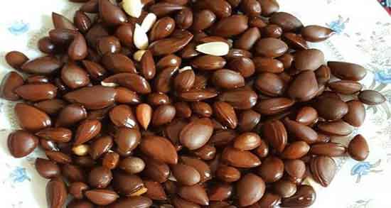 عوارض بادام کوهی ؛ همه چیز درباره عوارض مصرف بادام کوهی