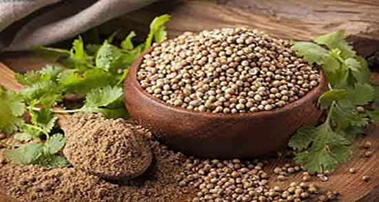 عوارض تخم گشنیز ؛ مضرات تخم گشنیز برای دستگاه گوارش