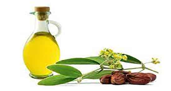 عوارض روغن جوجوبا ؛ مضرات مصرف روغن جوجوبا برای پوست چرب