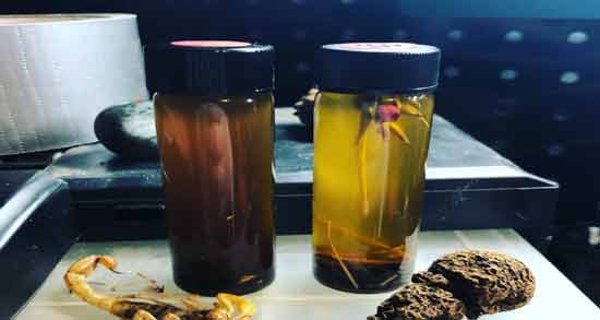 عوارض روغن عقرب ؛ استفاده از روغن عقرب چه عوارضی برای سلامتی دارد