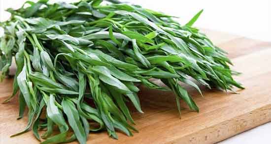 عوارض مرزه ؛ استفاده از سبزی مرزه چه عوارضی برای سلامتی دارد