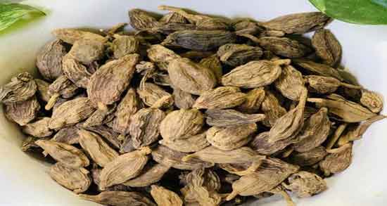 عوارض هل باد در بارداری ؛ همه چیز درباره مضرات مصرف هل باد برای زن باردار