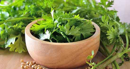 عکس تخمه گشنیز ؛ تخمه گشنیز خشک چه شکلی است