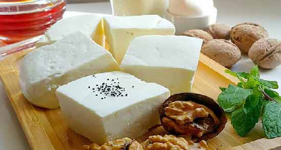 عکس پنیر لاکتیکی ؛ ویژگی های ظاهری پنیر لاکتیکی چگونه است
