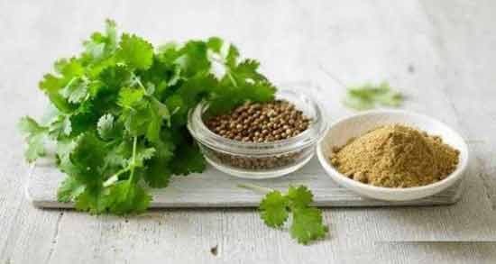 فواید آب گشنیز ؛ آشنایی با خواص و فواید مصرف آب گشنیز