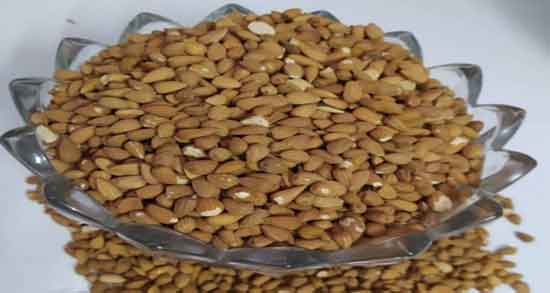 فواید بادام کوهی تلخ ؛ خاصیت دارویی مصرف بادام کوهی تلخ برای سلامتی