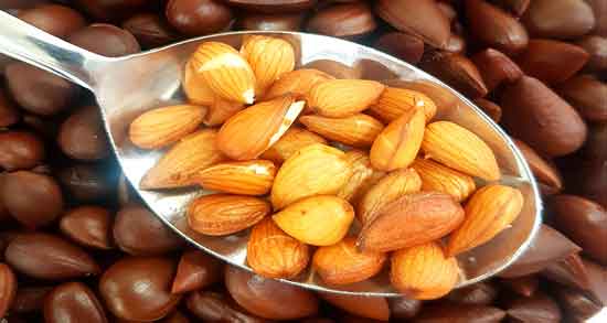 فواید بادام کوهی ؛ آشنایی با خواص مصرف بادام کوهی برای سلامتی
