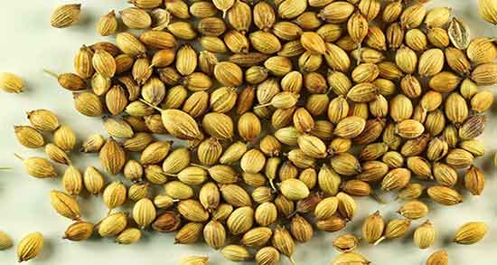 فواید تخم گشنیز ؛ خواص تخمه گشنیز برای لاغری چیست