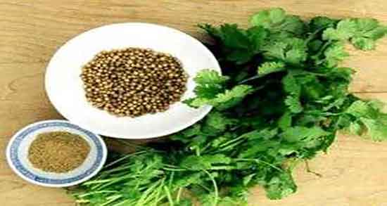 فواید تخمه گشنیز ؛ خواص تخمه گشنیز برای لاغری چیست