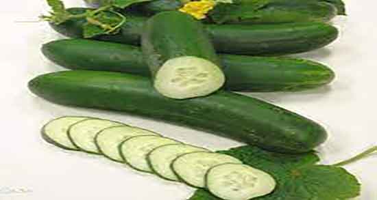 فواید خیار تلخ ؛ خواص مصرف خیار تلخ برای کنترل دیابت زنان باردار
