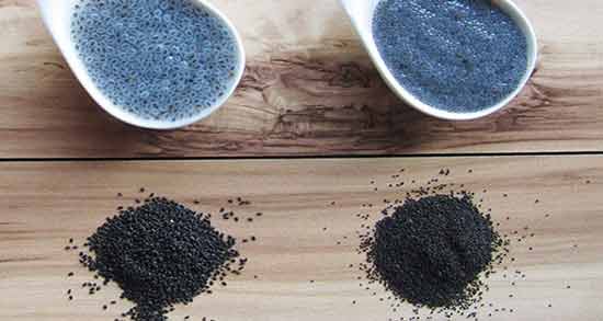 فواید دانه ریحان ؛ آشنایی با خواص و فواید دانه ریحان برای سلامتی