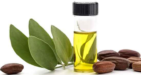 فواید روغن جوجوبا ؛ خواص مصرف روغن جوجوبا برای دور چشم