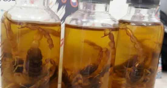 فواید روغن عقرب ؛ آشنایی با خواص و فواید روغن عقرب
