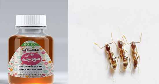 فواید روغن مورچه ؛ آشنایی با خواص و فواید روغن مورچه