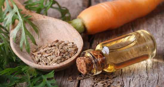 فواید روغن هویج ؛ آشنایی با خواص و فواید مصرف روغن هویج