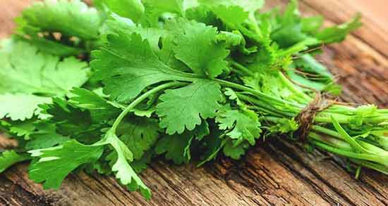 فواید عرق گشنیز چیست ؛ همه چیز درباره خاصیت مصرف عرق گشنیز
