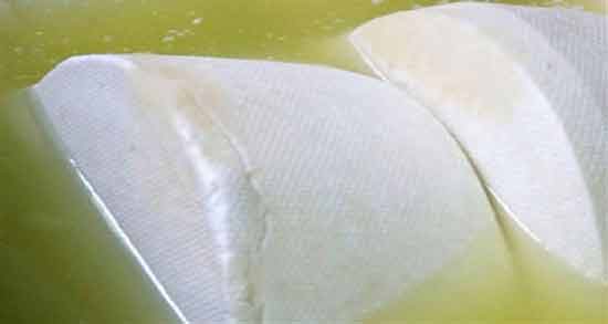 فواید ماست پروبیوتیک ؛ آشنایی با خواص و فواید مصرف ماست پروبیوتیک برای سلامتی