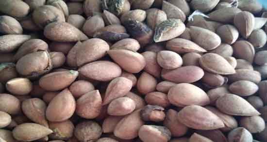 فواید و مضرات بادام کوهی ؛ همه چیز درباره مصرف بادام کوهی