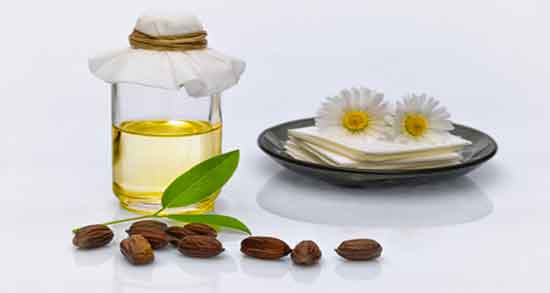 فواید و مضرات روغن جوجوبا ؛ خواص و عوارض روغن جوجوبا برای جای جوش
