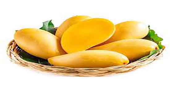 فواید و مضرات شیر انبه ؛ خاصیت و عوارض مصرف شیر انبه برای گلو درد