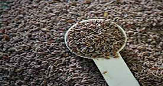 قدومه برای افسردگی ؛ فواید مصرف قدومه برای درمان افسردگی زنان باردار
