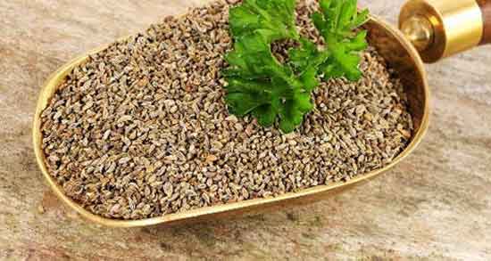 قدومه و بارهنگ ؛ ترکیب مفید قدومه و بارهنگ برای درمان سرماخوردگی