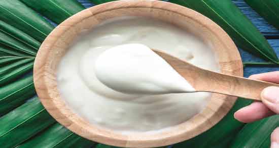 ماست یونانی برای سگ ؛ خواص و مضرات دادن ماست یونانی به سگ