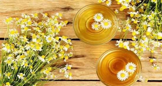 مخلوط بابونه و به لیمو ؛ آشنایی با فواید خوردن بابونه و به لیمو برای سلامتی