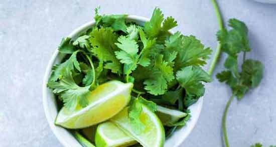 مصرف عرق گشنیز در بارداری ؛ فواید و مضرات عرق گشنیز برای زن باردار