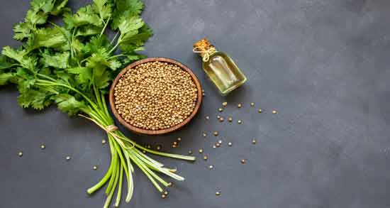 مضرات آب گشنیز ؛ بررسی عوارض و مضرات خوردن آب گشنیز