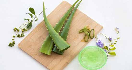 مضرات آلوئه ورا برای صورت ؛ استفاده از آلوئه ورا چه ضرری برای پوست دارد