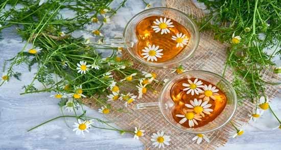 مضرات بابونه برای زنان ؛ بررسی عوارض و مضرات بابونه برای زنان
