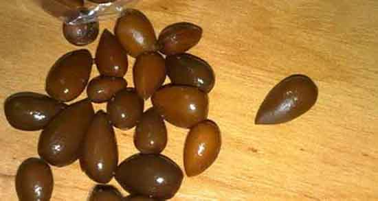 مضرات بادام کوهی ؛ بررسی مضرات مصرف بادام کوهی