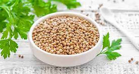 مضرات تخمه گشنیز ؛ عوارض مصرف تخم گشنیز در طب اسلامی