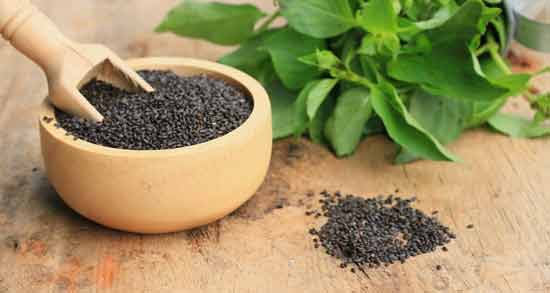 مضرات دانه ریحان ؛ بررسی مضرات و عوارض دانه ریحان