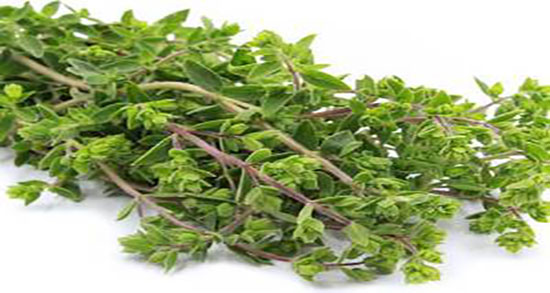 مضرات دمنوش مرزنجوش ؛ عوارض مصرف دمنوش مرزنجوش برای اطفال