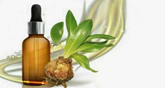 مضرات روغن عنصل ؛ بررسی عوارض و مضرات روغن عنصل