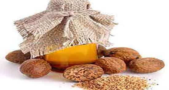 مضرات ریشه جوز هندی ؛ عوارض مصرف جوز هندی برای بدن انسان چیست