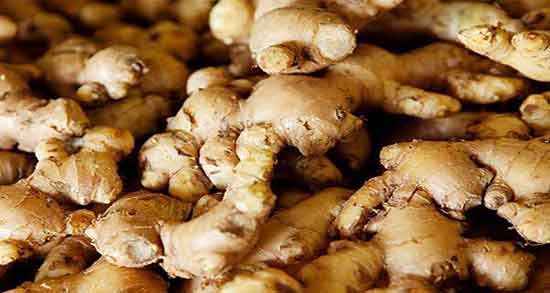 مضرات زنجبیل برای سرماخوردگی ؛ عوارض استفاده از زنجبیل برای سرفه