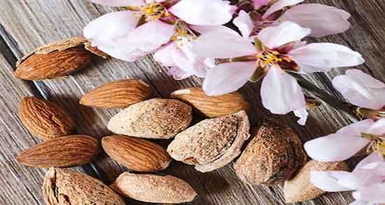 مضرات شکوفه بادام ؛ بررسی عوارض و مضرات مصرف شکوفه بادام