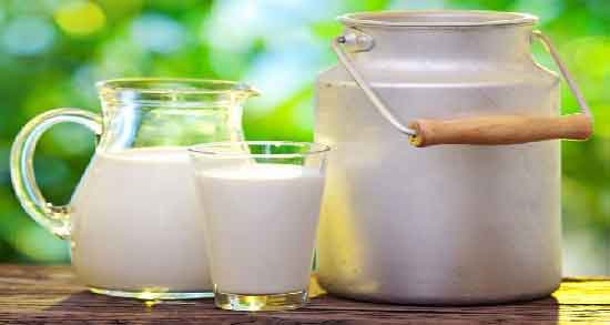 مضرات شیر گاومیش برای کودکان ؛ استفاده از شیر گاومیش چه ضرری برای سلامت کودک دارد