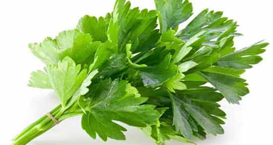 مضرات عرق گشنیز ؛ بررسی عوارض و مضرات مصرف عرق گشنیز