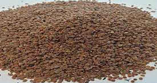 مضرات قدومه ؛ عوارض مصرف قدومه شیرازی برای تیرگی های پوست