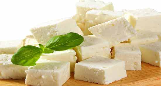 مضرات پنیر لاکتیکی ؛ بررسی عوارض و مضرات خوردن پنیر لاکتیکی برای سلامتی